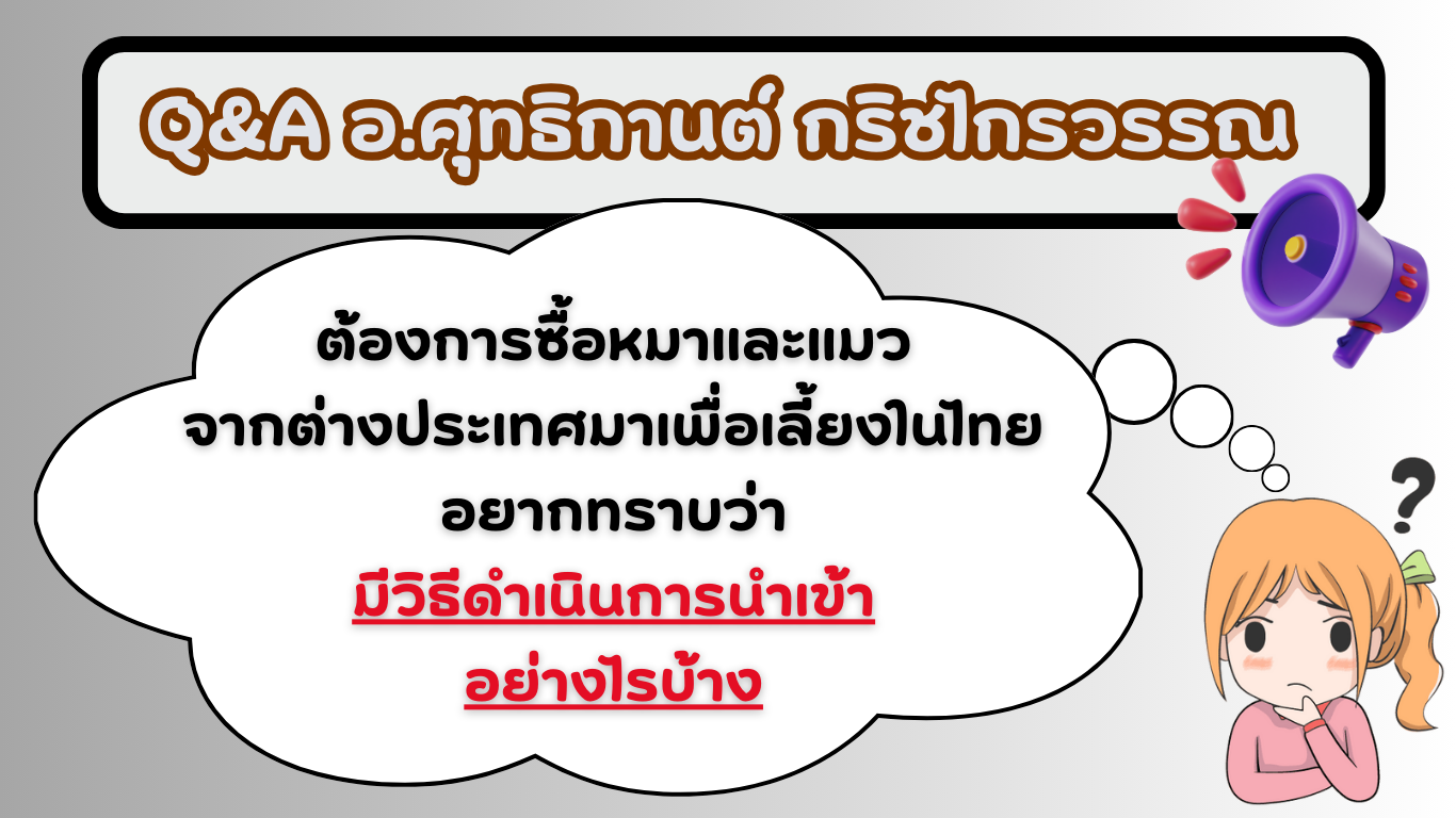 TAX-EZ  WEBSITE (เว็บไซต์)_20251210183341.png